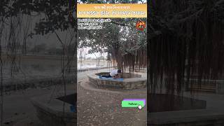 Day 873/1000 Days | Desi Fitness for Active Life | Satya Chetan | Mr JD Gujju | #1000dayschallenge