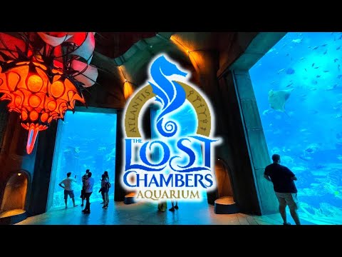 Lost Chambers Aquarium Atlantis Dubai Tour