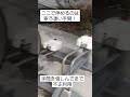 駐輪場の不正利用⑯