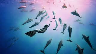 Vselena.ua - Без Тебе