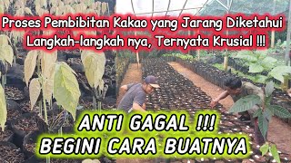 Cacao Nursery Guide I Cacao Seeds