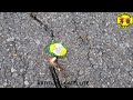 video-img