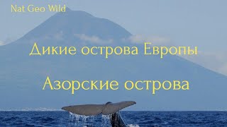 Nat Geo Wild. Дикие острова Европы. Азорские острова.