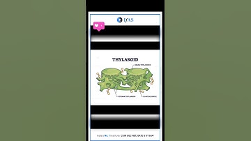 what is the structure of chloroplasts?..#ytshorts #biology