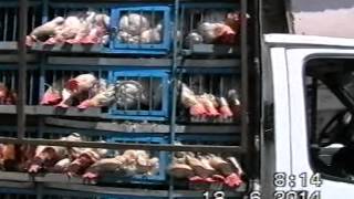 Bereketli Kasabasi25.06.2014 Köyden Ayrilis Ve Pazaryeri Cekimikamera Ismet Karakoc