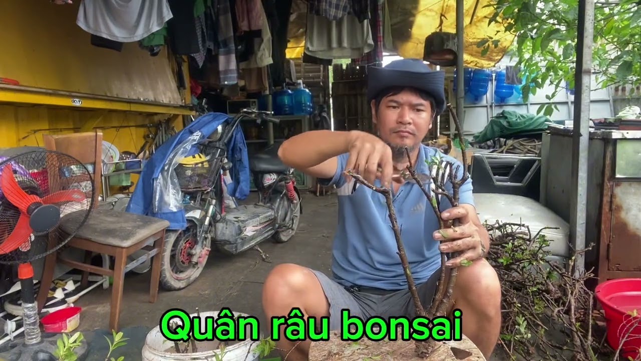 👉 Tạo Dáng Bonsai Hoa Mẫu Đơn Bị Bỏ Đi | Quân Râu Bonsai phần 27