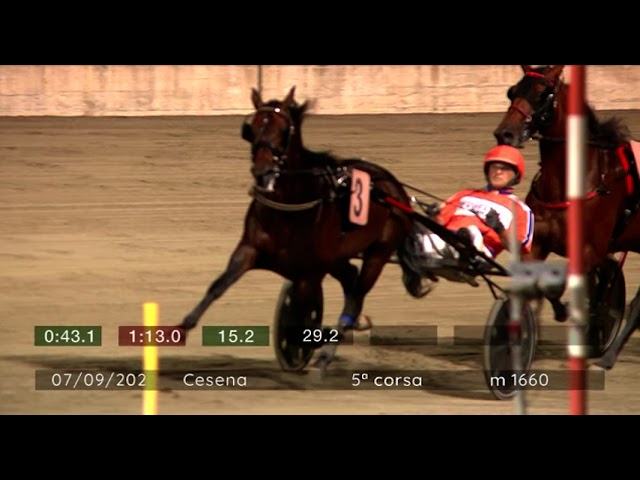 2024 09 07 | Corsa 5 | Metri 1660 | Premio Campionato Europeo Gruppo Orogel - Prima Prova