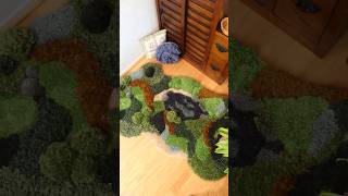 Y’all… I made a moss rug. And I freaking love it!!
Y’all… I made a moss rug. And I freaking love it!! Y’all… I made a moss rug. And I freaking love it!!