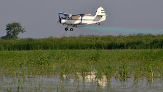 : PZL-Mielec An-2 spraying rice field near Mez"ot'ur, Hungary