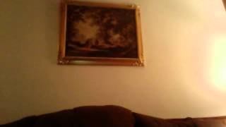 video 00024