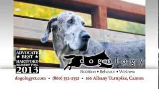 Dogologys Screenvision Ad