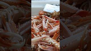 #galicia #испания #spain #travel #путешествия #путешествие #морепродукты #short #shorts #shortvideo