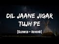 Dil Jaane Jigar Tujh Pe Slowed Reverb LoFi Mood 90 S Dil Jaane Jigar Tujh Pe Slowed Reverb LoFi Mood 90 S