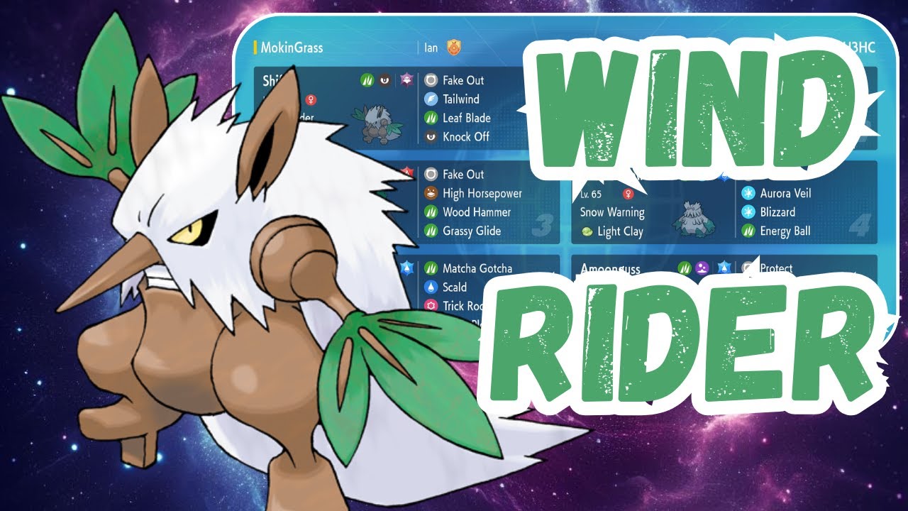 Why Wind Rider SHIFTRY is a Game Changer | Reg E VGC | Pokémon Scarlet & Violet