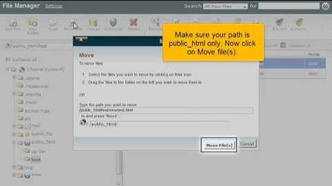 How to copy and move files in File Manager