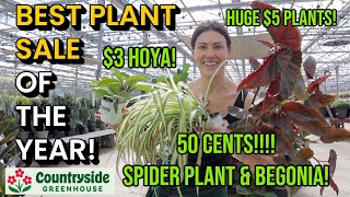 BEST PLANT SALE OF THE YEAR! HUGE 50 Cent Plants! Indoor & Outdoor- Countryside Greenhouse, Michigan