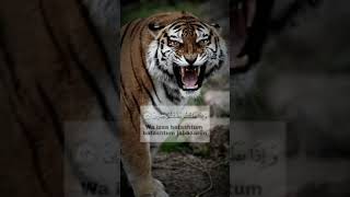 Amalan Doa Untuk Melumpuhkan Lawan