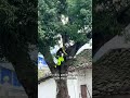 This is high-altitude tree cutting using rope and harness. #foryou #fypシ #shorts #shortvideo #short