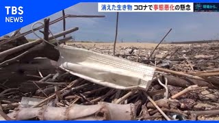 消えた生き物、コロナで事態悪化の懸念【SDGs×コロナ後の世界】