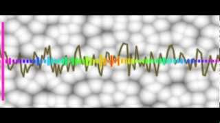 lost on the moon a visualizer