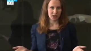 где можно заказать ягоды годжи где можно заказать ягоды годжи