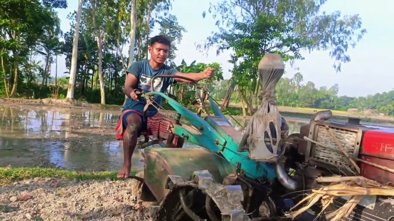 প্রতিদিনের কৃষিকাজ 🚜 গ্রামে পাওয়ার টিলার দিয়ে জমি চাষ Power Tiller Land Cultivation in Village.