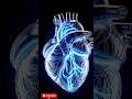 The only muscle in your which never gets tired | inside body