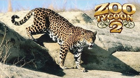 Zoo Tycoon 2: Jaguar Exhibit Speed Build