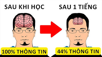 11 Bí Quyết Để Nhớ Mọi Thứ Nhanh Hơn Người Khác