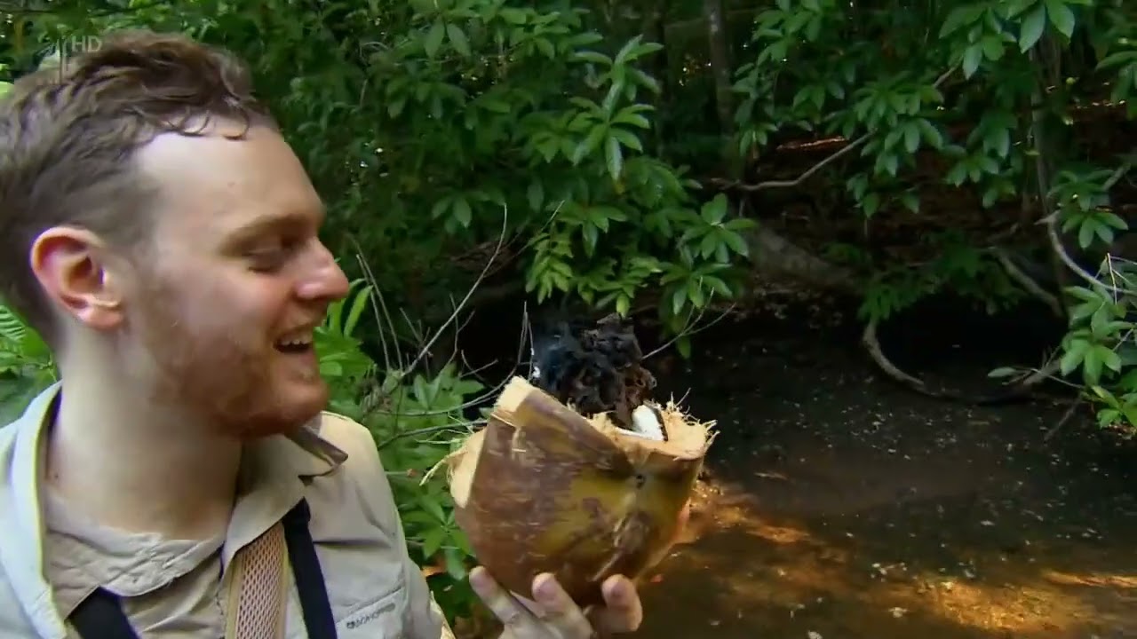Celebrity Island with Bear Grylls S01E02