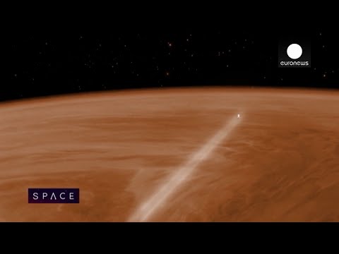 Vídeo: Las Sondas Soviéticas Pueden Haber Capturado Criaturas Vivientes En Venus - Vista Alternativa