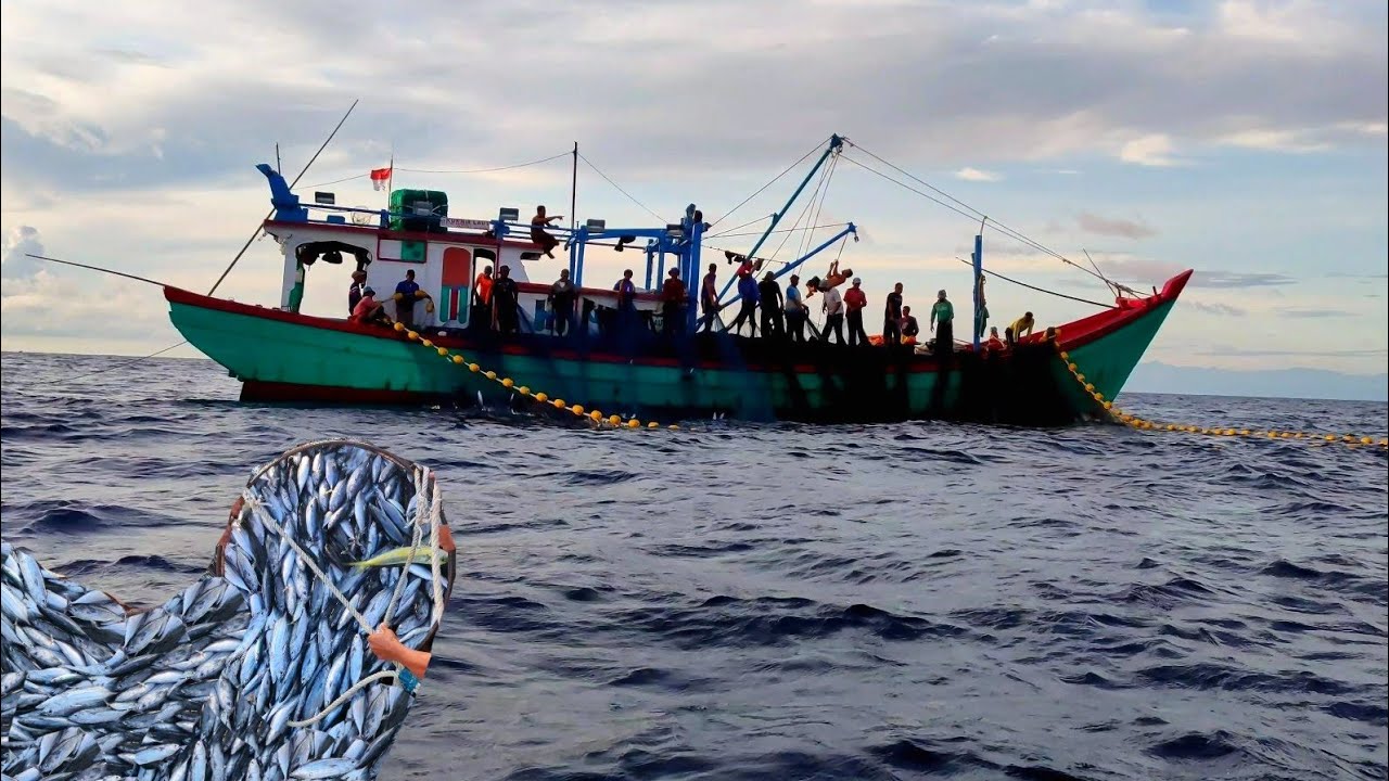 PUKAT CINCIN, Ternyata Begini Cara Nelayan Indonesia Menangkap Ikan Di Laut || KM.KURNIA LAUT