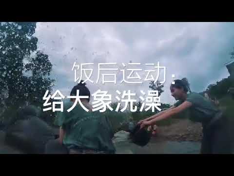 [Hey Siri,07.07] 清迈行：大象保育员是种什么体验