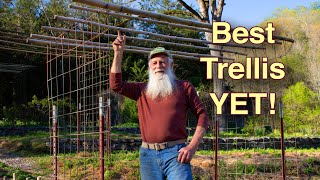 He BUILT the BEST Cattle Panel TRELLIS Yet!