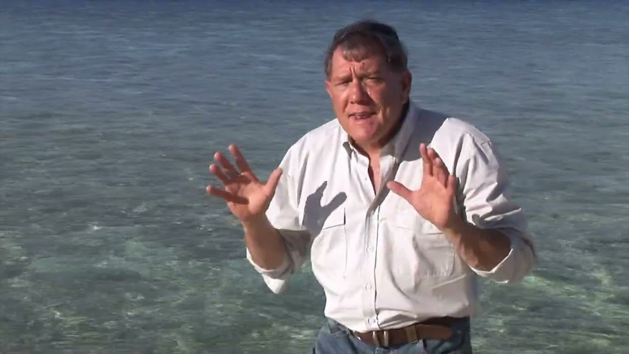 David Ireland with bull rays