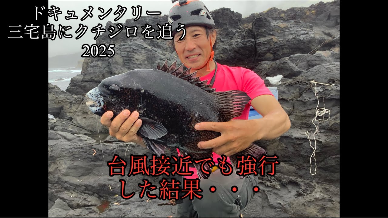 【ドキュメンタリー】三宅島にクチジロを追う2025/一日目/台風23号来るけど強行突破