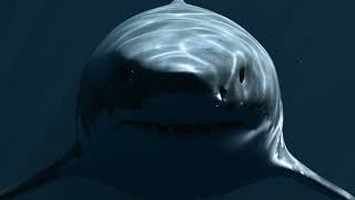 Famous TSAMA - Remotely Disable Sea Mines Net Worth