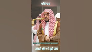 تلاوة خاشعة 🕊 سورة  لقمان 🕊  #للشيخ .د #الوليد_الشمسان