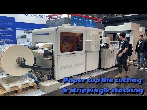 Paper cup die cutting- Stripping- stacking machine inline in one ...