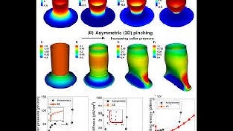 Axisymmetric problem ansys workbench