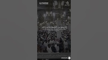 تلاوة فضيلة الشيخ محمد_برهجي