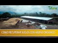 Como Recuperar Suelos con Abono Organico - TvAgro por Juan Gonzalo Angel Restrepo
