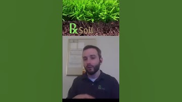 How the Soil Test Kit Works #shorts