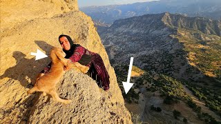 Download Lagu Kulthum's tough day in the mountains: 🐐👶 Saving a newborn baby goat on dangerous cliffs! 🧗♀️🕊️ MP3 Download Lagu Kulthum's tough day in the mountains: 🐐👶 Saving a newborn baby goat on dangerous cliffs! 🧗♀️🕊️ MP3