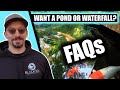 Want to Build a Pond? Here are some FAQs