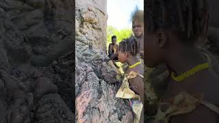 See how Hadzabe Tribe get their water from the nature