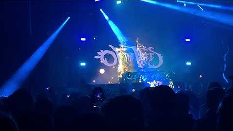 Thumbnail of Spanish Moss (Live) - Of The Trees @ Deadbeats Seattle '22