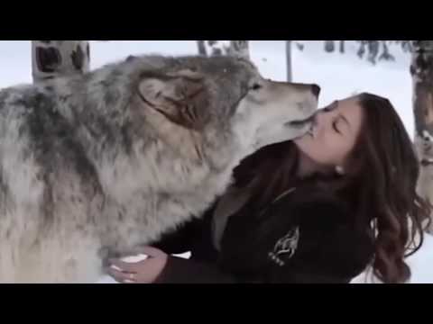 Video: Le Migliori Citazioni Su Animali E Persone