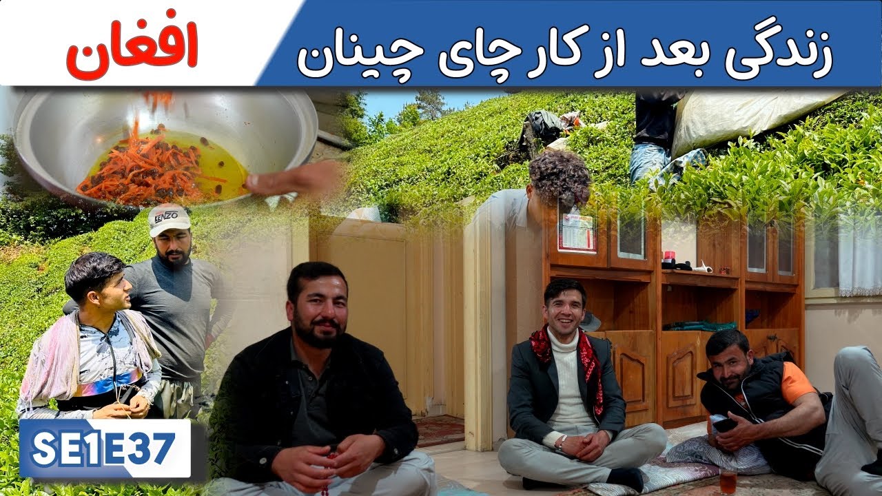 زندگی پس از برداشت چای: چای‌چینان افغان در ترکیه