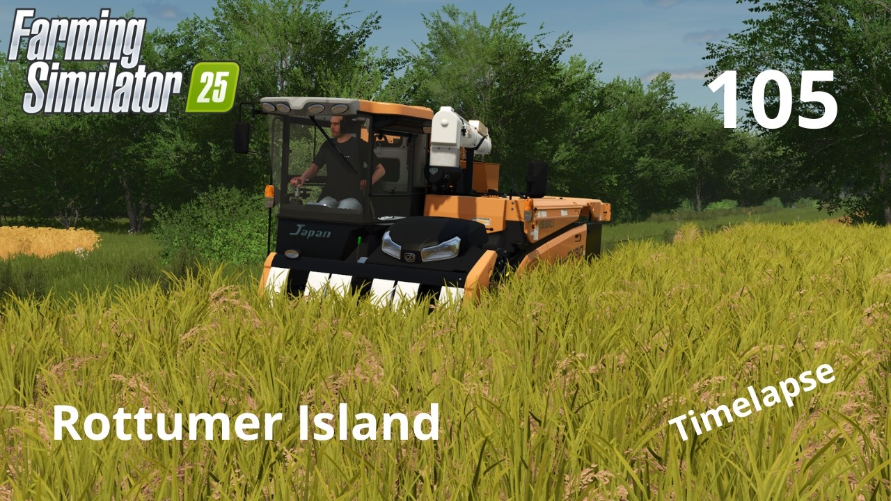 HARVESTING A LOT OF GRAIN AND RICE | ROTTUMER ISLAND #105 | FS25 - YouTube